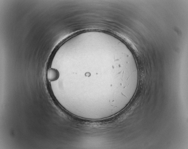 X0000116680991201001041145