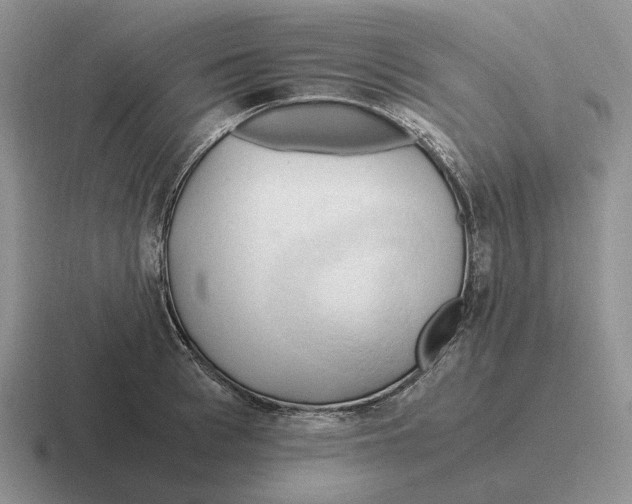 X0000116680993201001041145