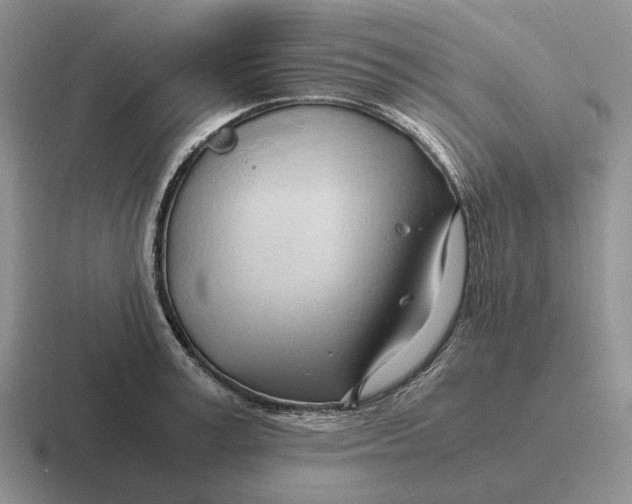 X0000116680995201001041145