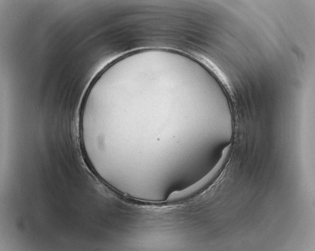 X0000116680996201001041145