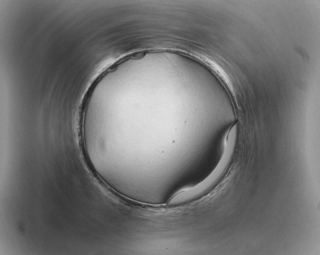 X0000116680997201001041145