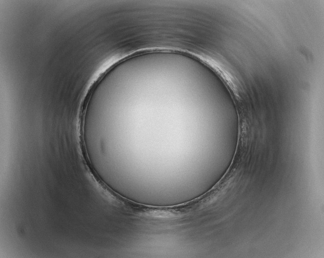 X0000116680998201001041145