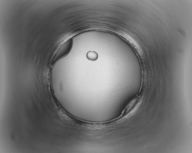 X0000116681001201001041145