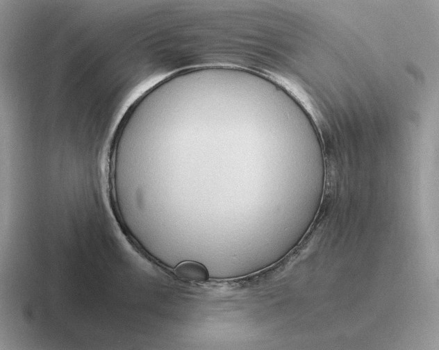 X0000116681003201001041145