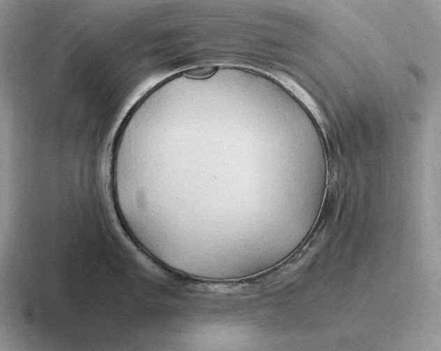 X0000116681005201001041145