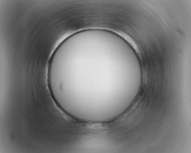 X0000116681006201001041145