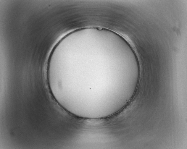 X0000116681008201001041145