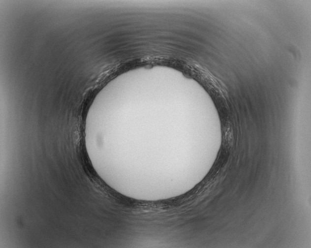 X0000116681012201001041144