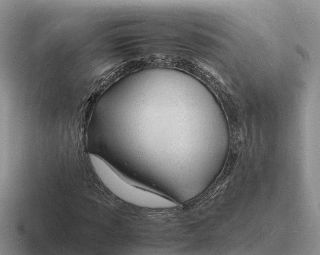 X0000116681013201001041144