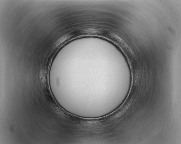 X0000116681017201001041144