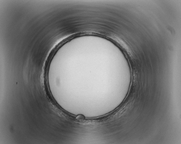 X0000116681020201001041144