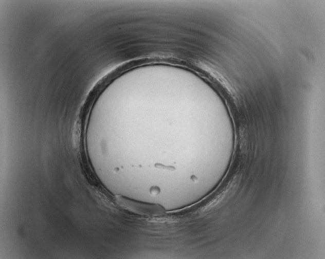 X0000116681021201001041144