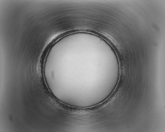 X0000116681022201001041144