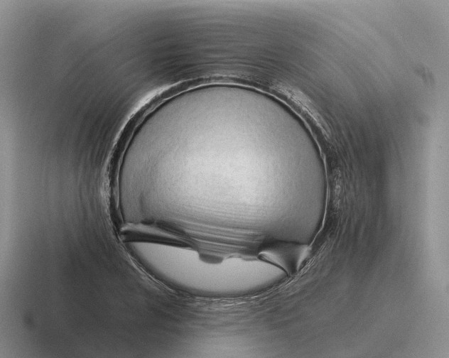 X0000116681024201001041145