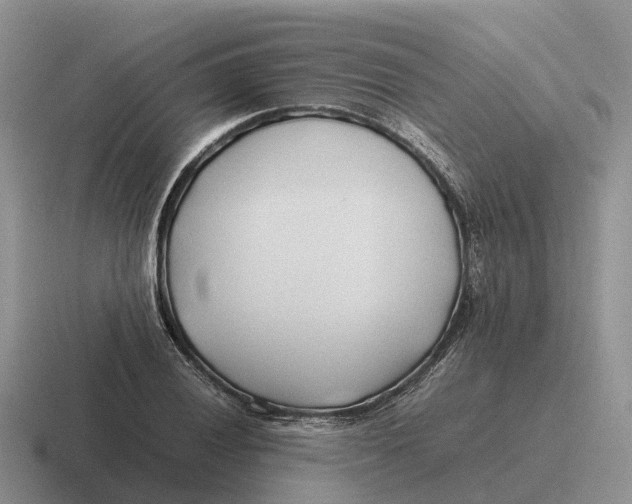 X0000116681028201001041145