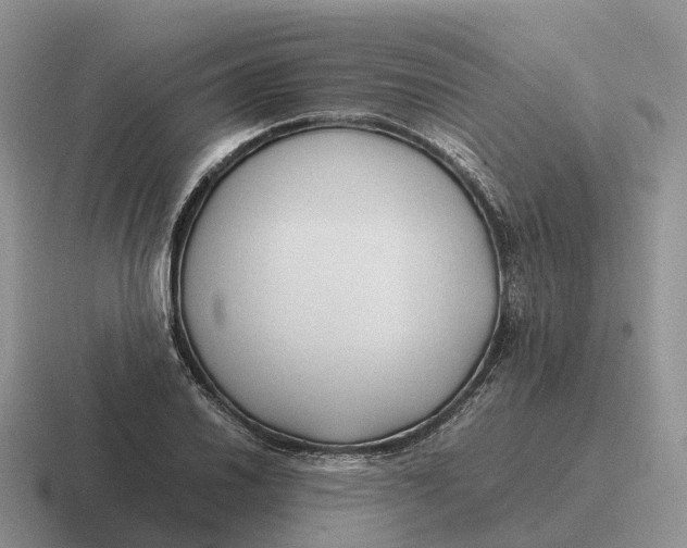 X0000116681030201001041145