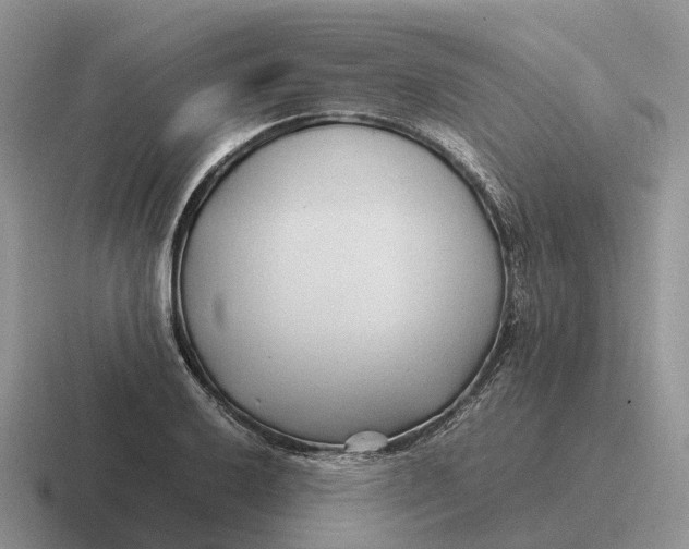 X0000116681032201001041145