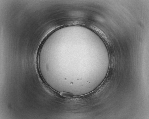 X0000116681039201001041145