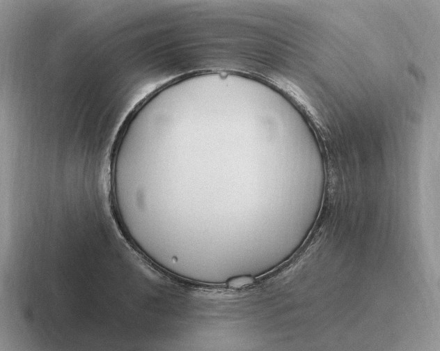 X0000116681040201001041145