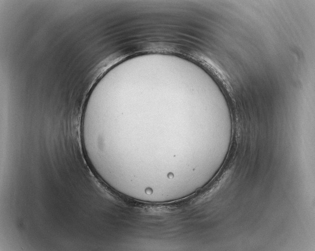 X0000116681041201001041145