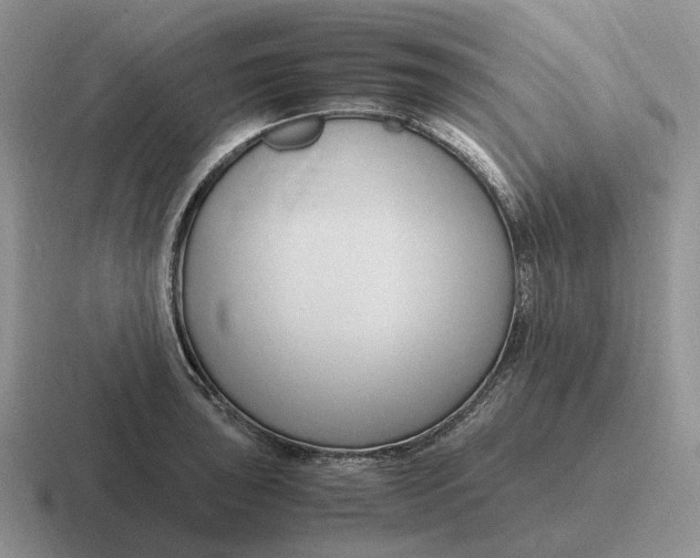 X0000116681043201001041145