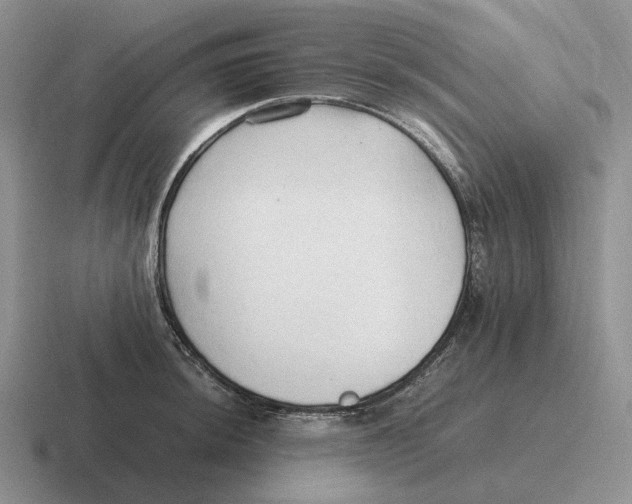 X0000116681044201001041145