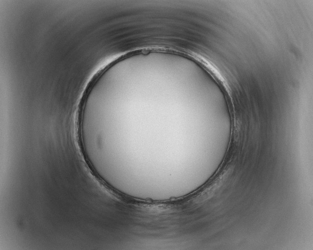 X0000116681045201001041145