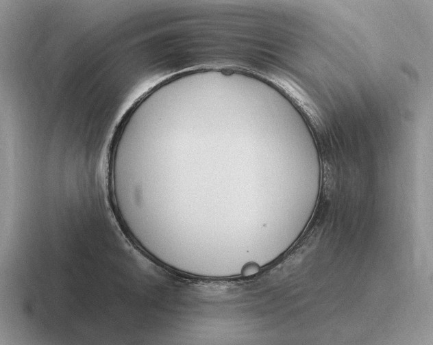 X0000116681046201001041145