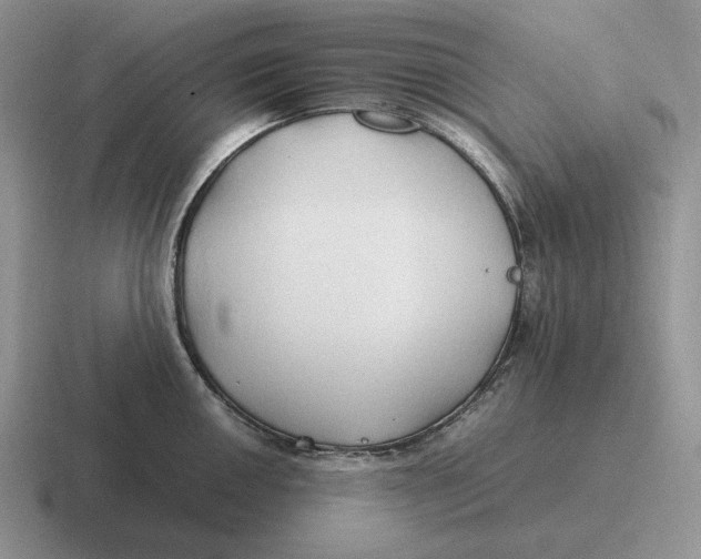 X0000116681050201001041145