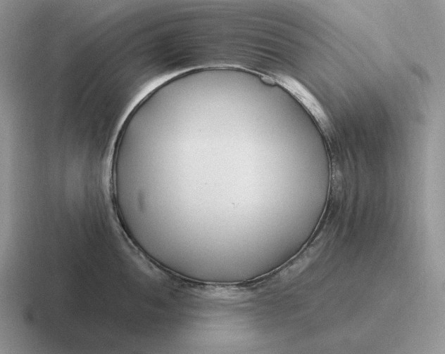 X0000116681052201001041145