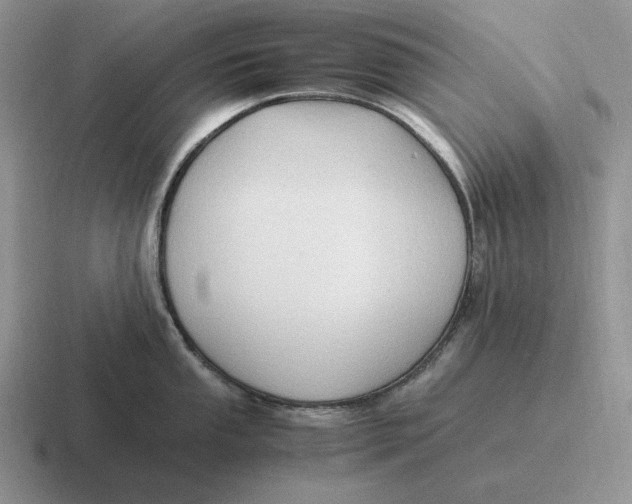 X0000116681053201001041145