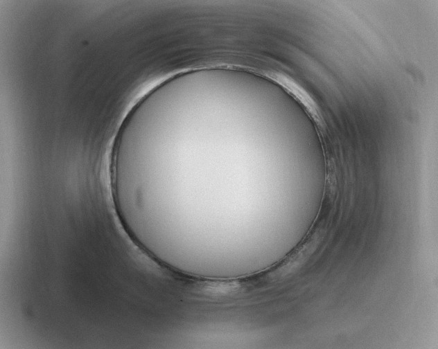 X0000116681055201001041145