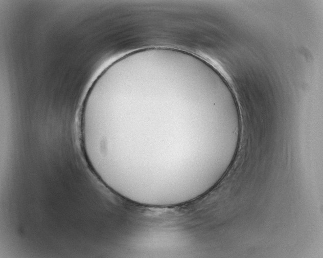 X0000116681056201001041145