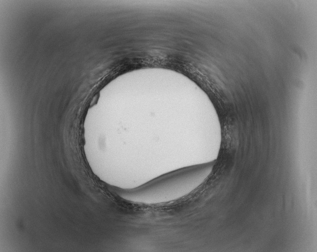 X0000116681057201001041144