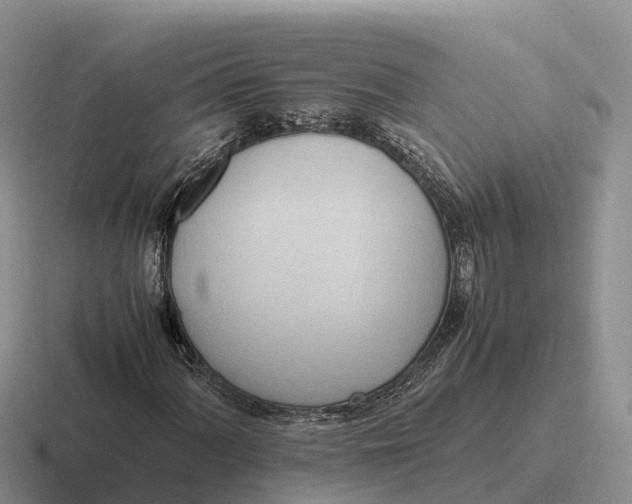 X0000116681060201001041144