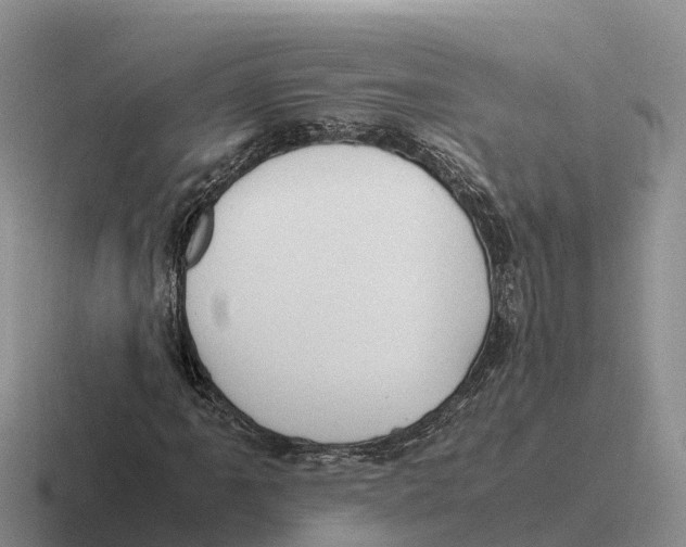 X0000116681061201001041144