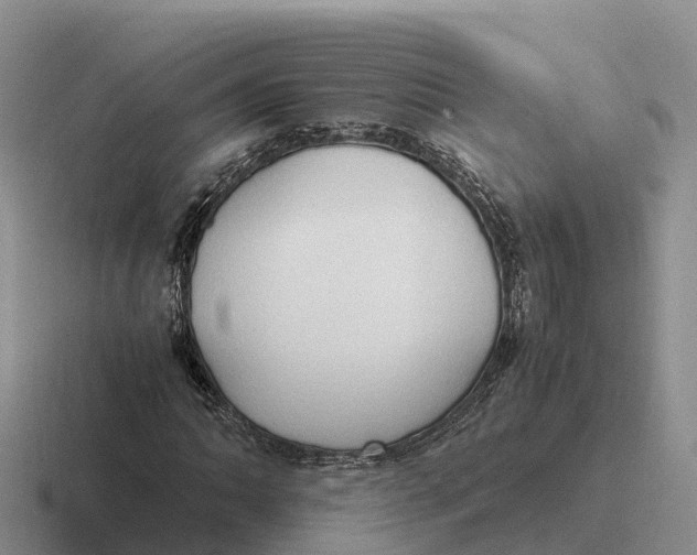 X0000116681062201001041144