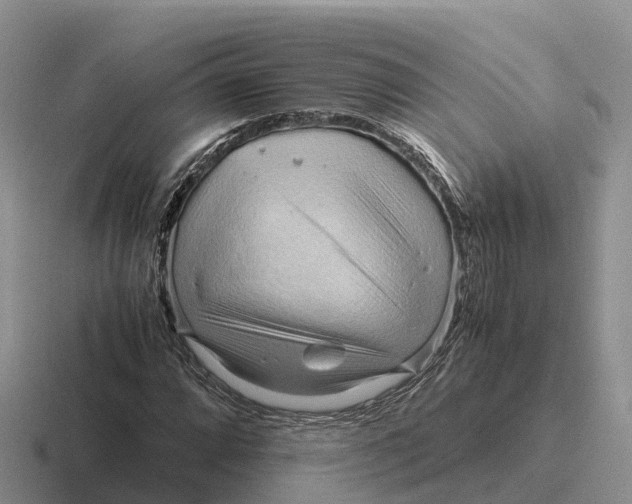 X0000116681064201001041144