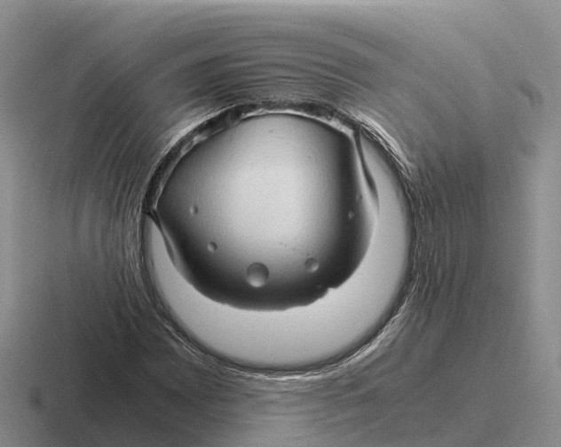 X0000116681065201001041144