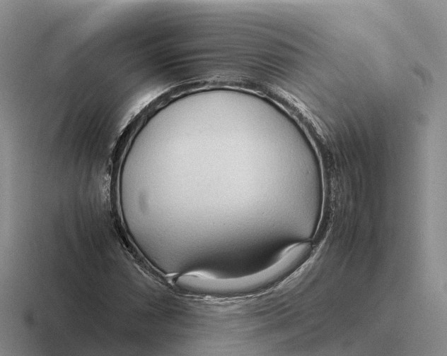 X0000116681066201001041144