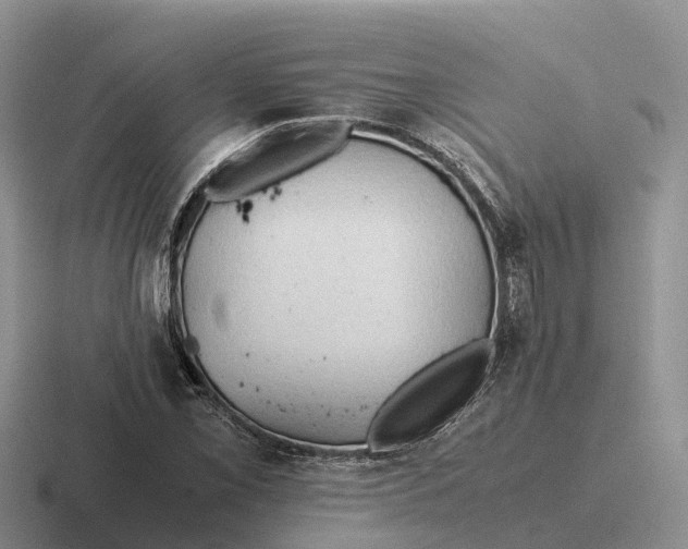 X0000116681069201001041144