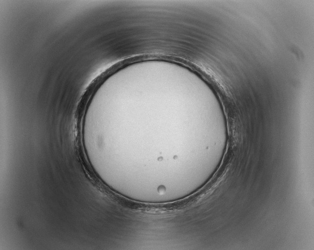 X0000116681070201001041144