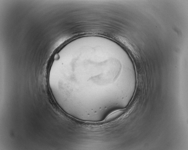 X0000116681071201001041144