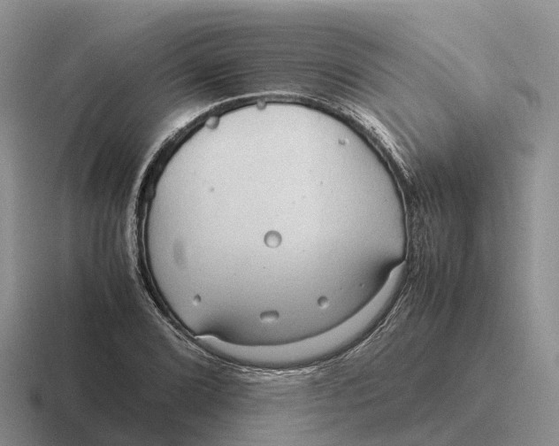 X0000116681072201001041144