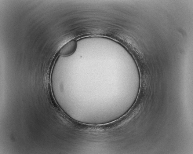 X0000116681073201001041144