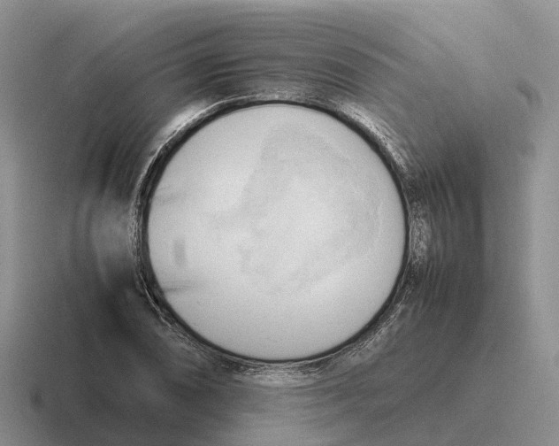 X0000116681074201001041144