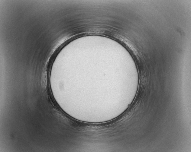 X0000116681075201001041144