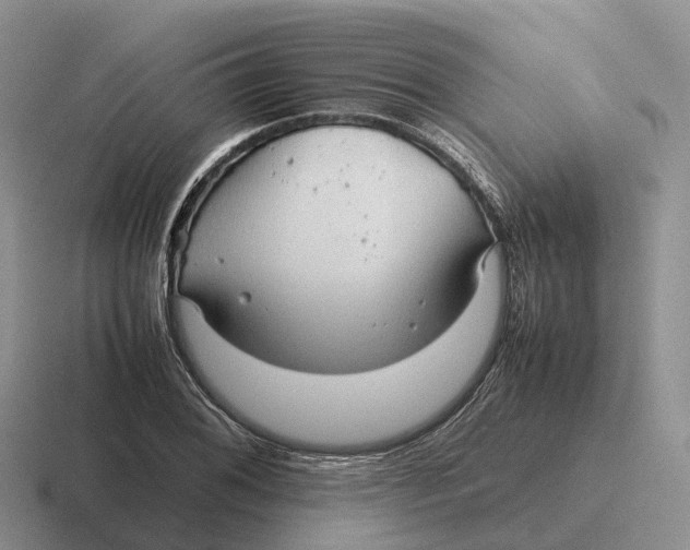 X0000116681076201001041144