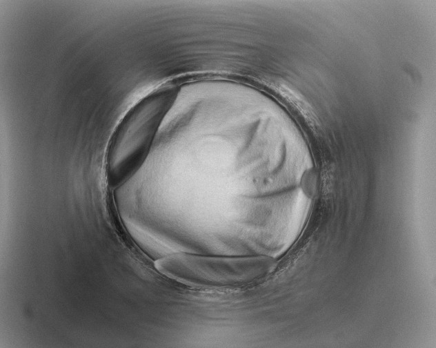 X0000116681077201001041144