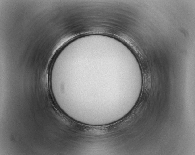 X0000116681078201001041144